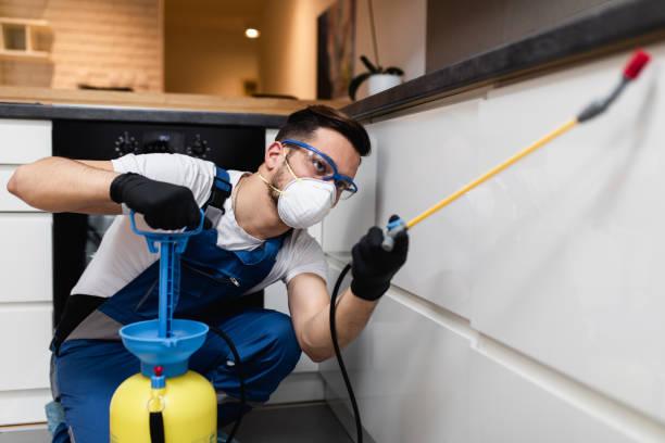 Best Pest Control Near Me  in Nuevo, CA