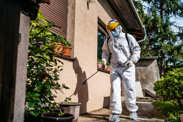 Best Pest Removal Services  in Nuevo, CA
