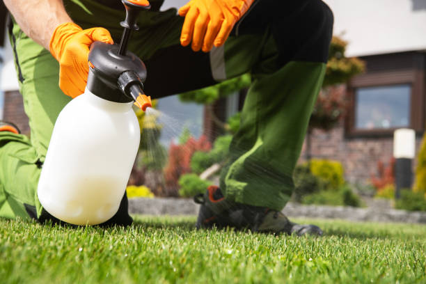 Best Bird Control  in Nuevo, CA