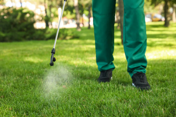 Best Cockroach Control Services  in Nuevo, CA