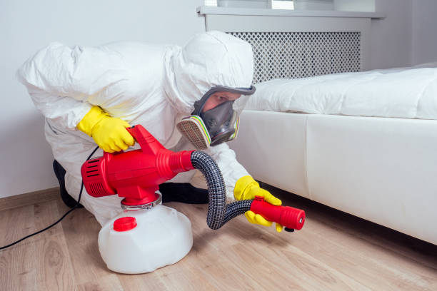 Best Affordable Pest Control Services  in Nuevo, CA