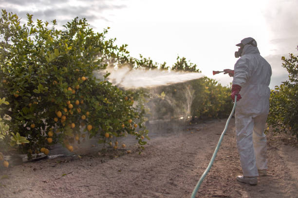 Best Commercial Pest Control Services  in Nuevo, CA