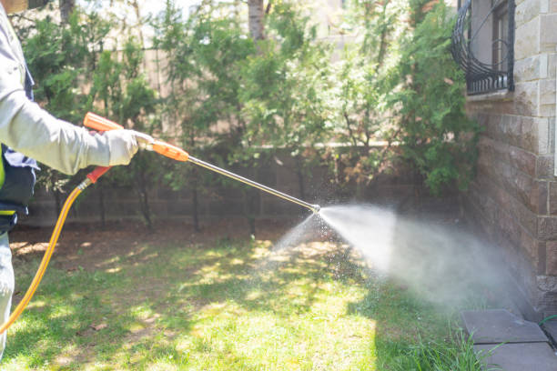 Best Pest Control for Restaurants  in Nuevo, CA