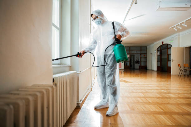 Best Pest Inspection Near Me  in Nuevo, CA