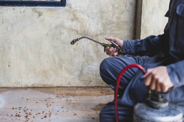 Best Best Pest Control Companies  in Nuevo, CA