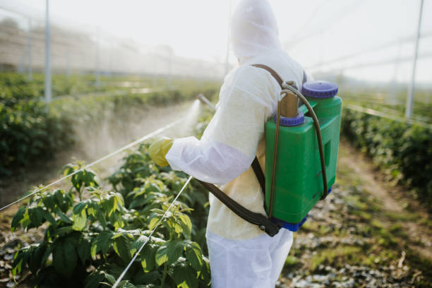 Flea Control Services in Nuevo, CA